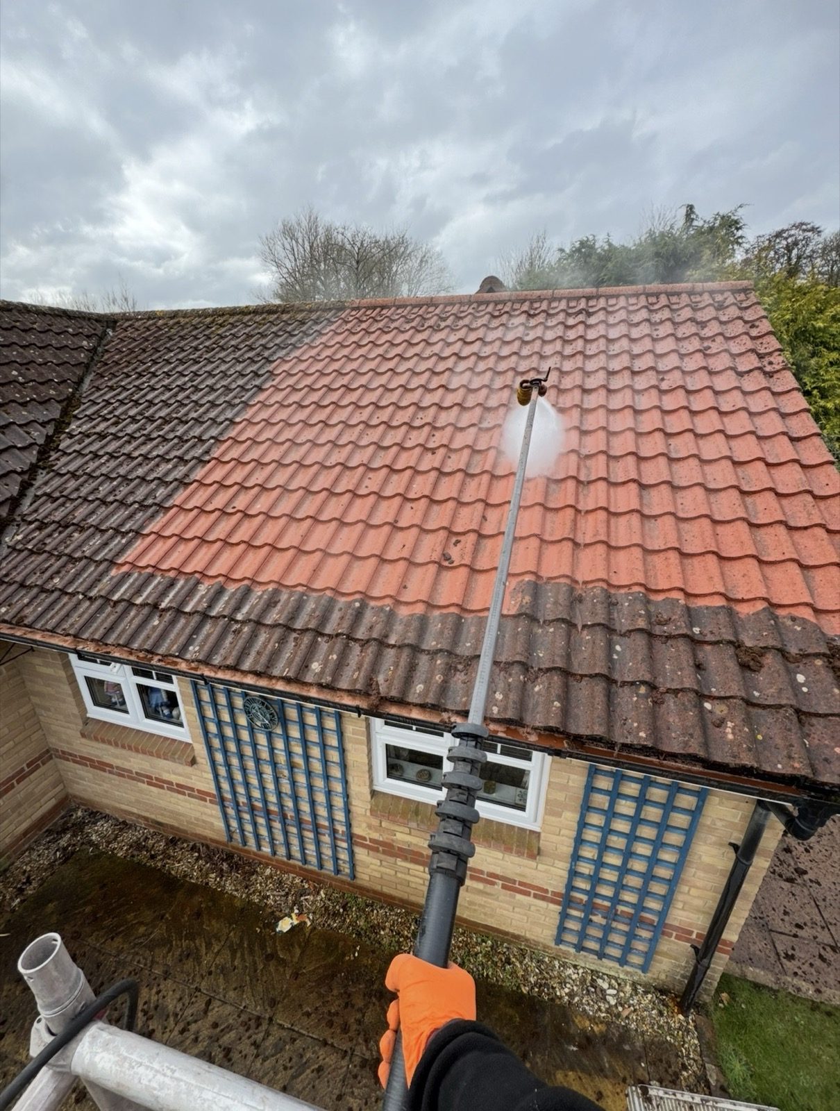 Steam roof cleaning